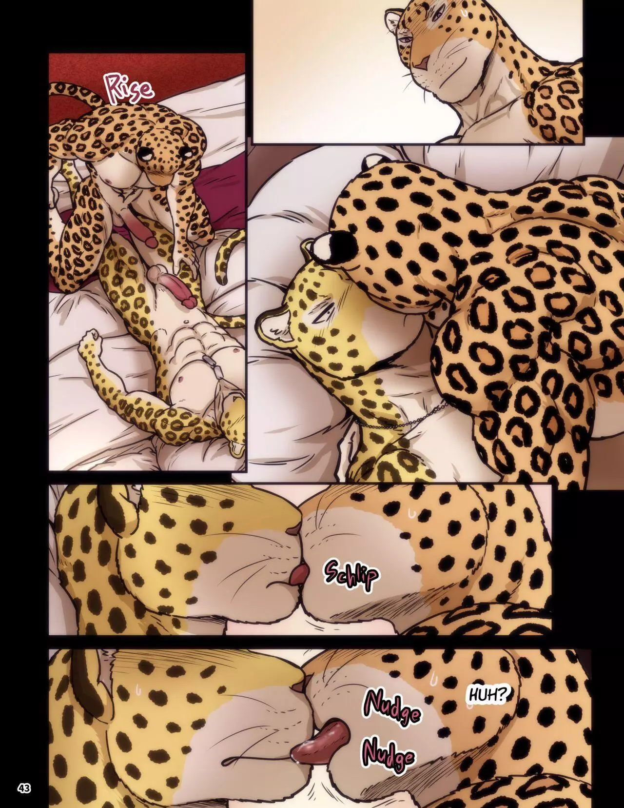 Page 43
